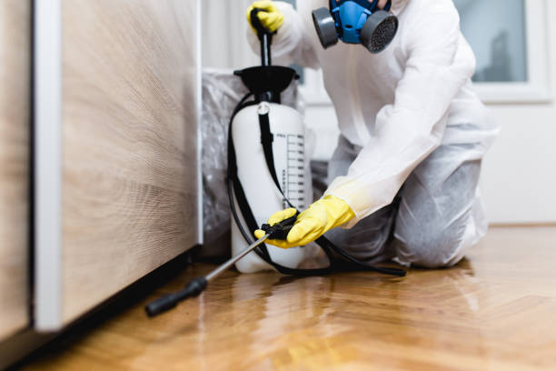 Best Flea Control Services  in Marceline, MO