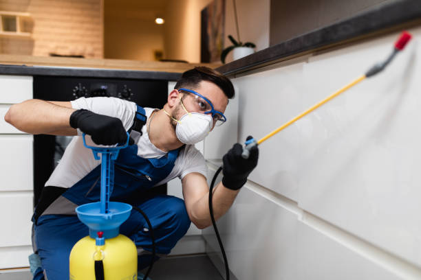 Best Best Pest Control Companies  in Marceline, MO