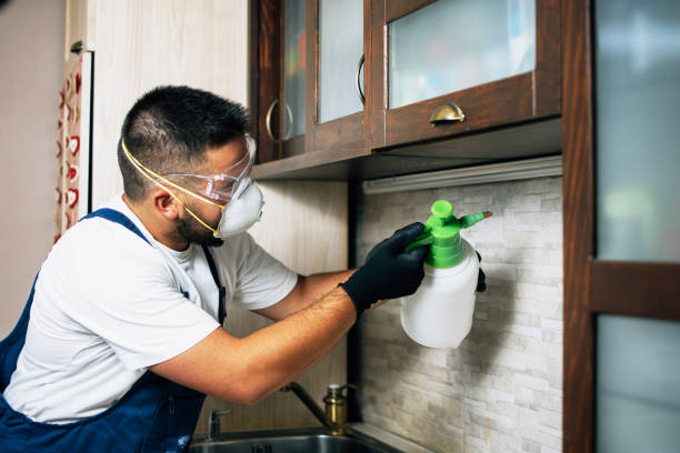 Best Local Pest Control Services  in Marceline, MO