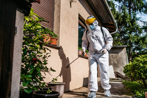 Best Pest Control Treatment  in Marceline, MO