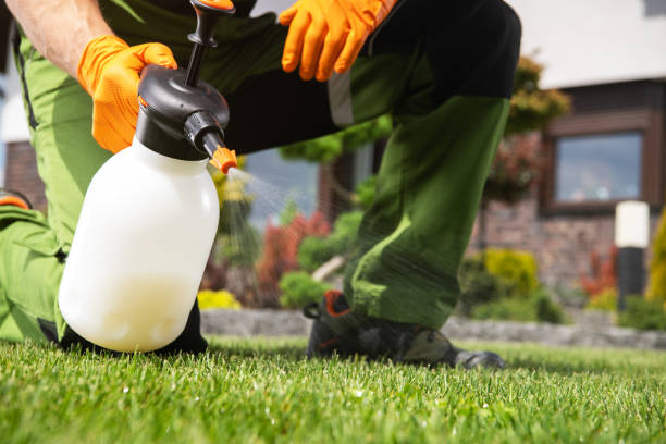 Best Affordable Pest Control Services  in Marceline, MO