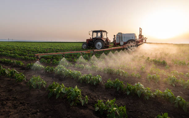 Professional Pest Control in Marceline, MO
