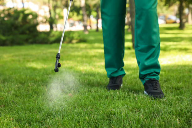 Best Cockroach Control Services  in Marceline, MO