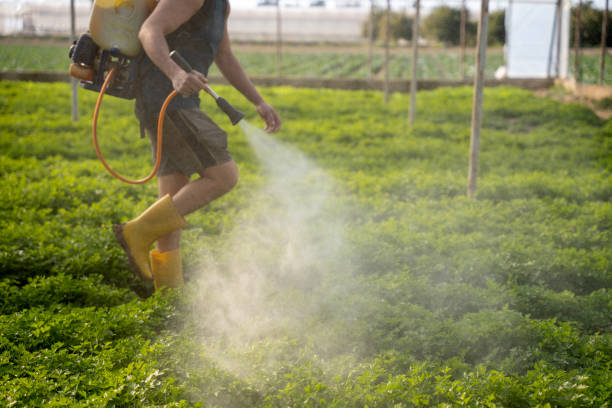 Best Commercial Pest Control Services  in Marceline, MO