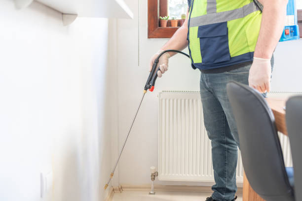 Best Local Pest Control Services  in Marceline, MO