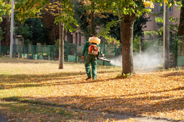 Best Exterminator Services  in Marceline, MO