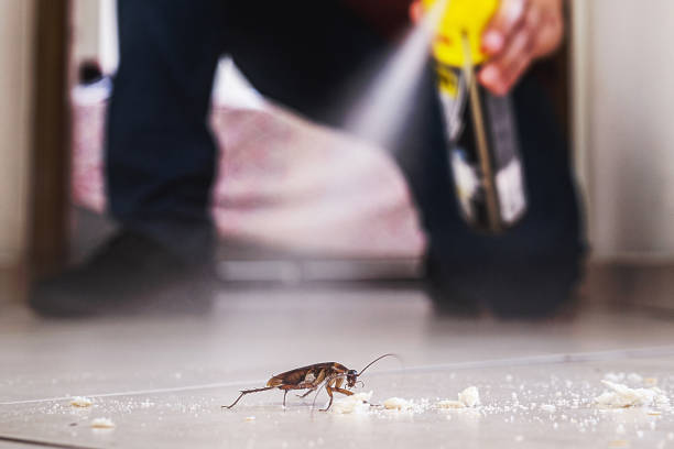 Best Pest Removal Services  in Marceline, MO