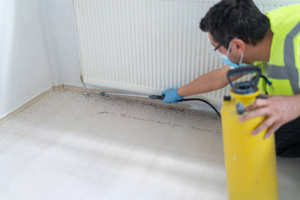 Best Affordable Pest Control Services  in Marceline, MO