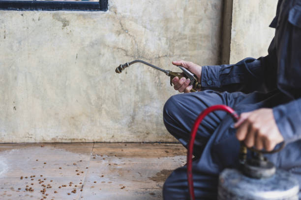 Best Mosquito Control Services  in Marceline, MO